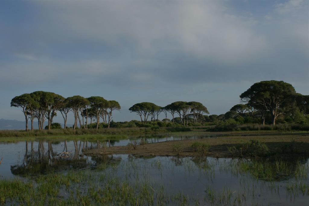 Verde Al Mare Kalogria  Buitenkant foto