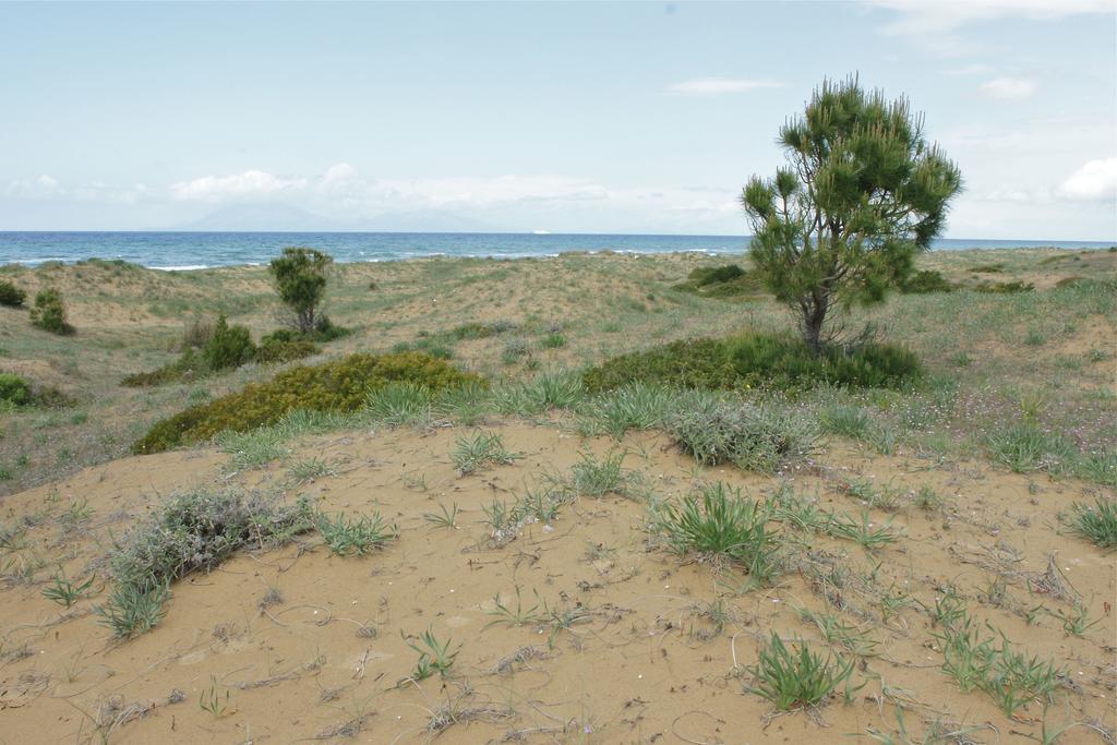 Verde Al Mare Kalogria  Buitenkant foto